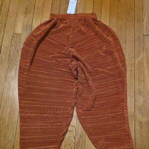 AKIRA Rust Orange Pleated Pant